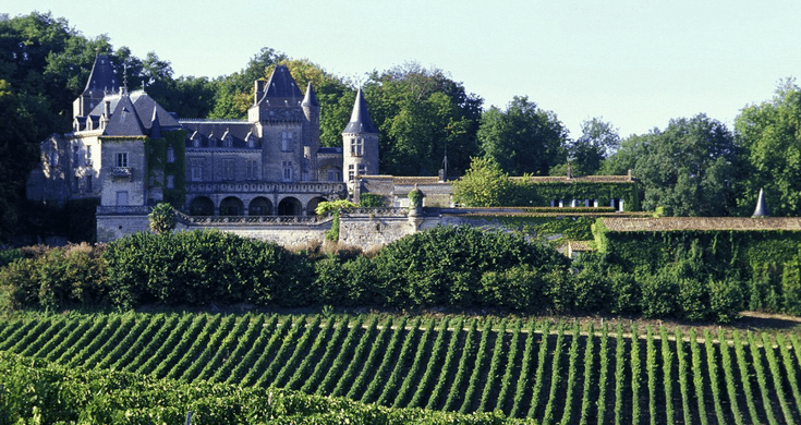 vignes a bordeaux