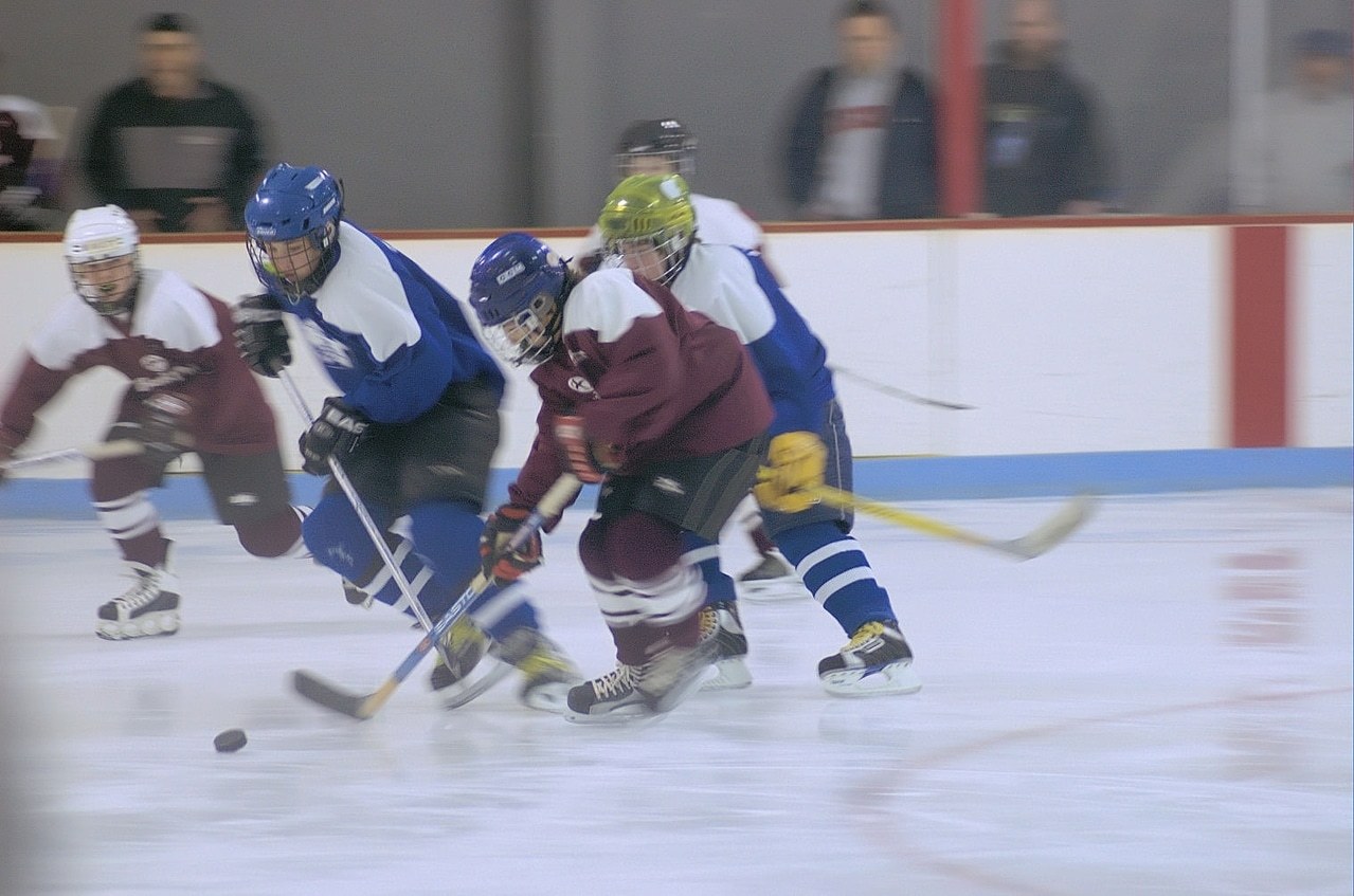 Co-organisation entre Paris et Cologne du Championnat du monde de Hockey sur glace