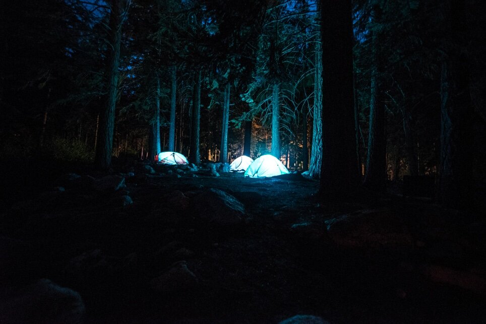 Un team building original avec une nuit en forêt. De quoi resserrer les équipes !