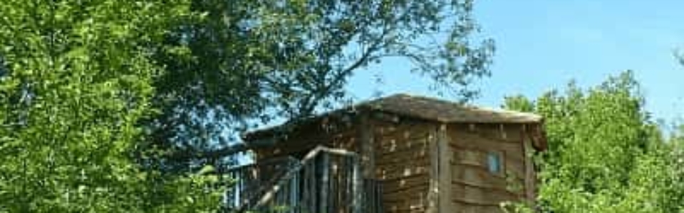 Cabane_dans_les_arbres_Centre_Loiret